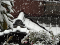 [東京][雪]2013-01-14 12:32:44