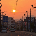 [電車][路面電車][熊本市電]1095　2014-05-31