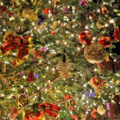 [クリスマス]ディズニーシー　2014-11-28
