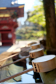 [東京][谷根千][神社]根津神社　2015-01-19