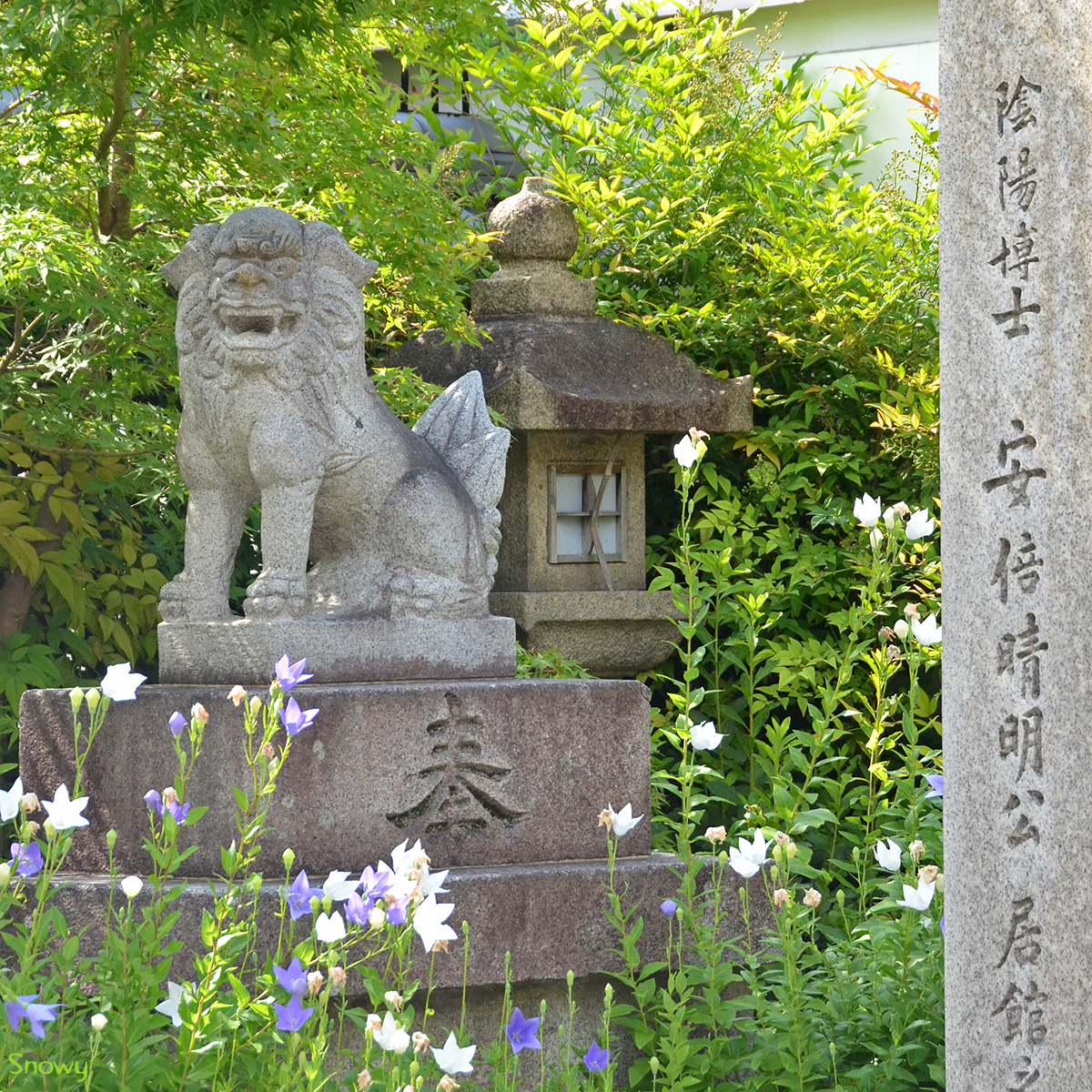 晴明神社　2014-07-17