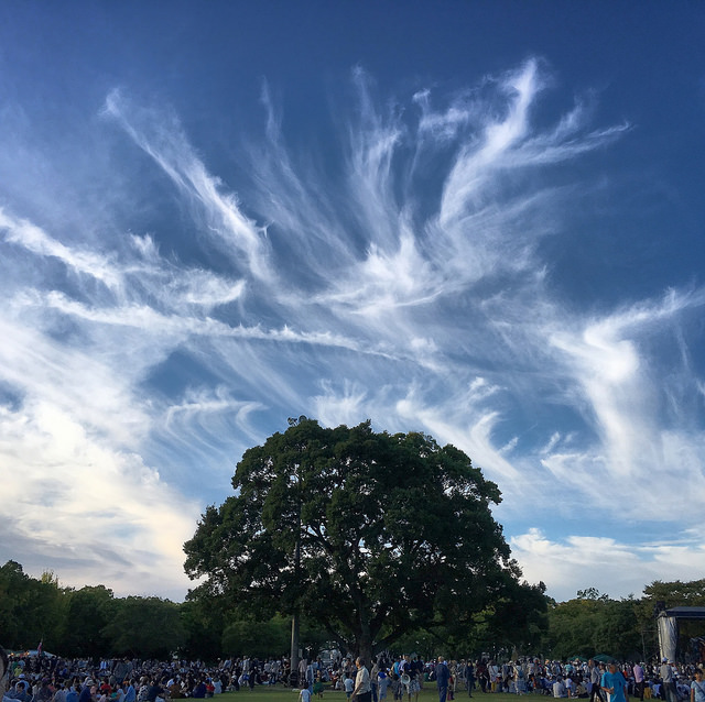 熊本城二の丸公園 （2017-09-02）