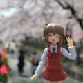 [figma][フィギュア][桜]天神中央公園にて（2018-03-29）