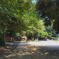 [東京][神社]駒込富士神社（2018-08-26）