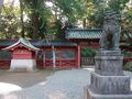 [東京][神社]根津神社（2018-10-25）