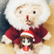けいおん！deクリスマス 2018（2018-12-19）