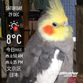 [Instaweather]（2018-12-29）