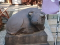 [東京][神社]牛天神北野神社（2019-01-18）