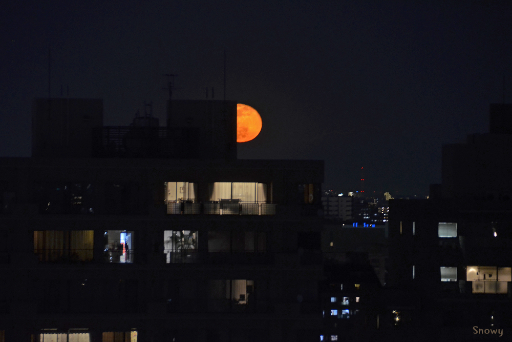 十六夜　2019-01-22 18:20