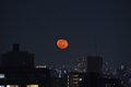[月][東京][夜景][空]立待月　2019-01-23 19:34