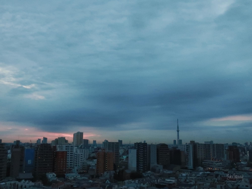 2019-02-15 06:29