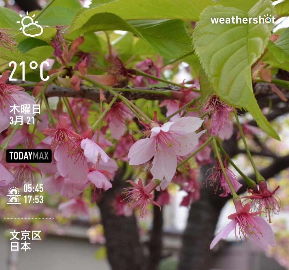 Instaweather（2019-03-21）