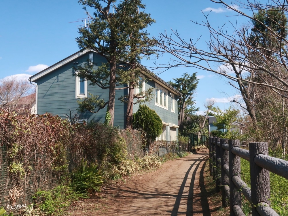 玉川上水緑道＠三鷹市（2019-03-24）