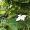 WeatherShot（2019-06-03）
