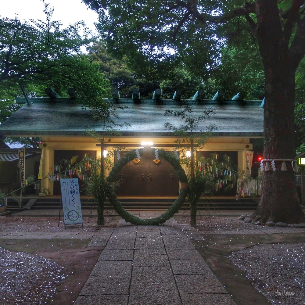 駒込天祖神社の茅の輪（2019-06-23）