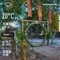WeatherShot（2019-06-24）