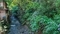 高尾山稲荷山コース起点（2019-06-26 10:18）