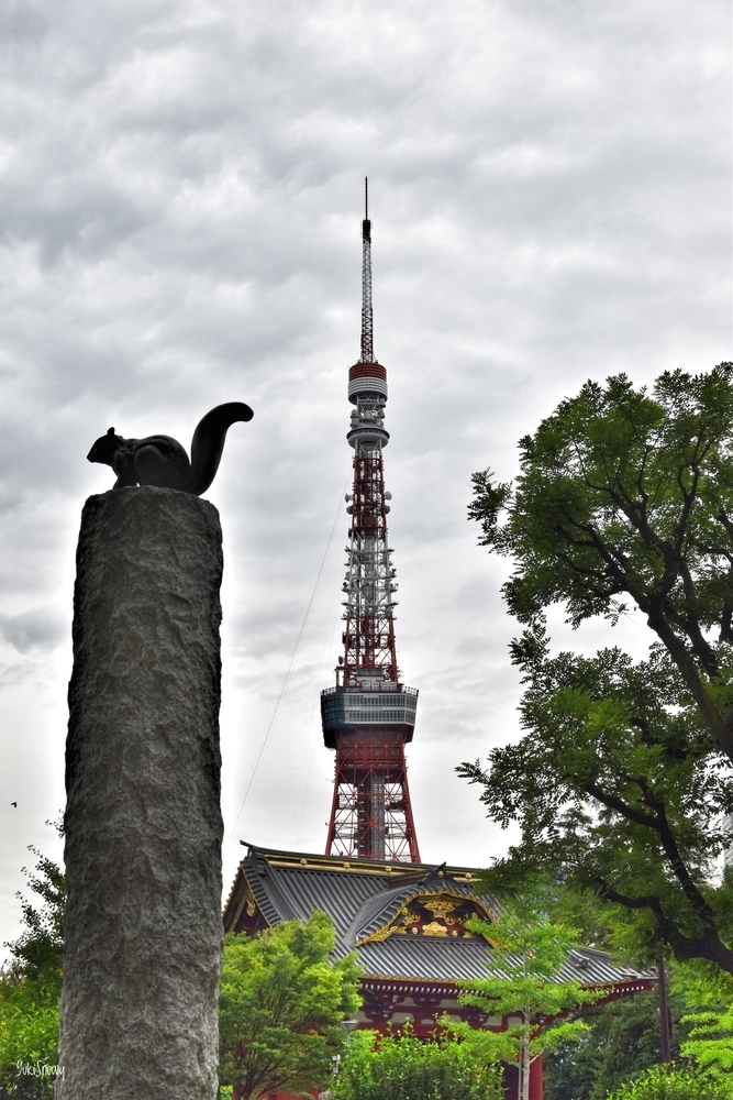 芝公園のリスと東京タワー（2019-06-28 14:21）