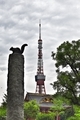 [東京]芝公園のリスと東京タワー（2019-06-28 14:21）