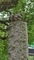 芝公園のリス（2019-06-28 14:24）