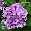 [Instaweather]WeatherShot（2019-06-29）