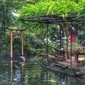 [東京][神社]愛宕神社（2019-06-28 13:36）