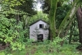 [東京][公園][建物]六義園（2019-07-15 12:35）