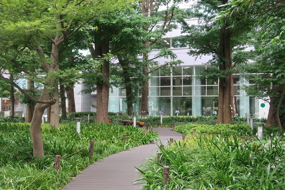 文京グリーンコート公園（2019-07-08 14:29）