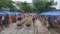 文京朝顔・ほおずき市（2019-07-20 16:16）