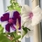 （2019-08-20 05:57）