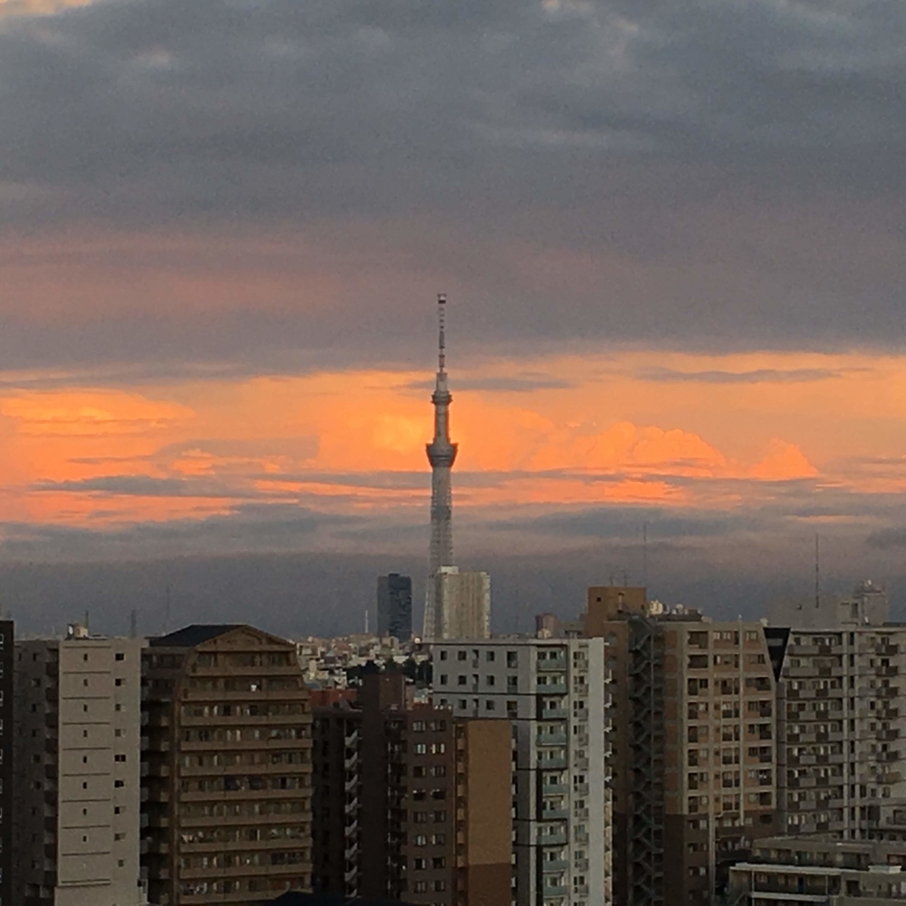 （2019-09-16 17:45）
