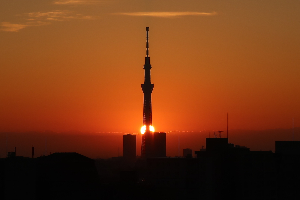 (2019-11-07 06:15)