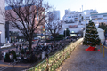 [クリスマス][東京]礫川公園（2019012-14）