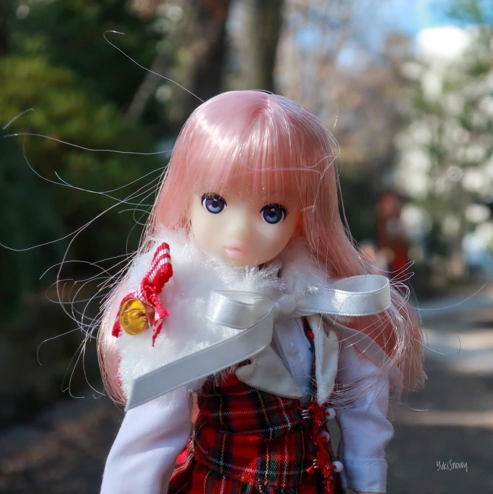 ruruko＠根津神社（2019-12-24 13:45）