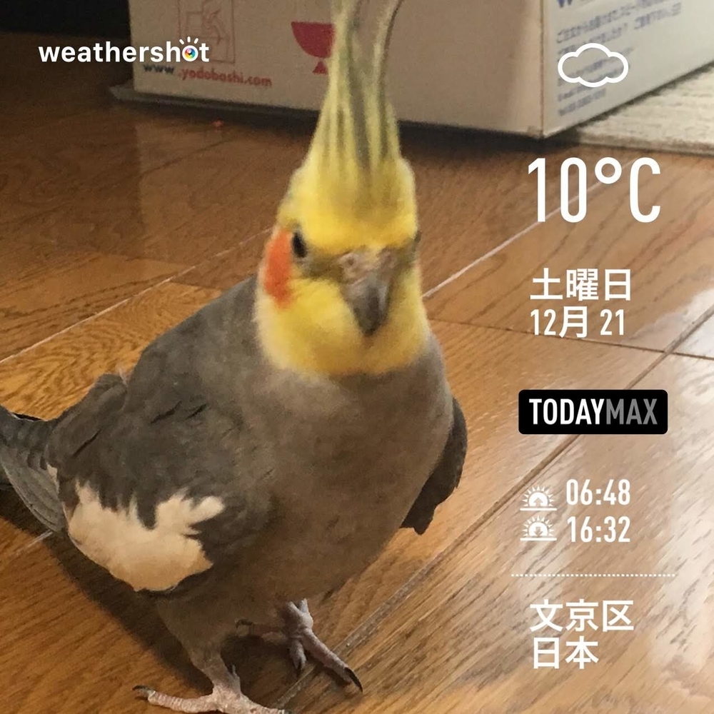 WeatherShot（2019-12-21）