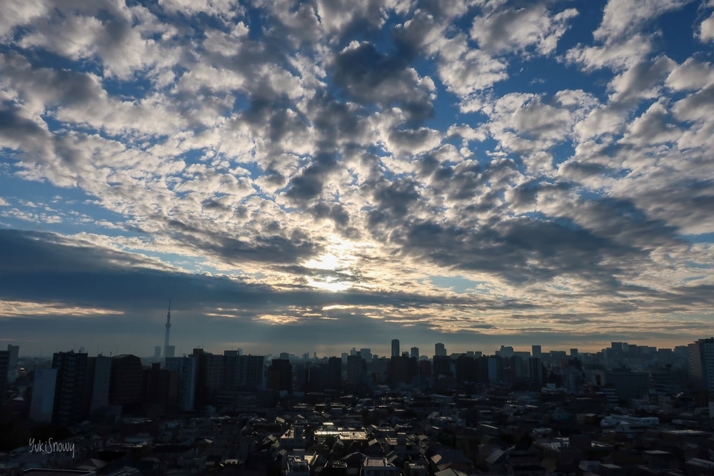 （2019-12-27 07:37 ）