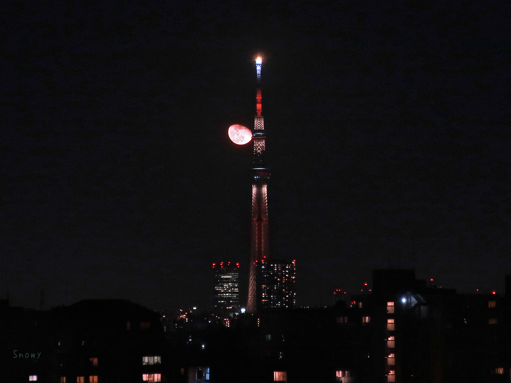 （2020-03-13 22:20）