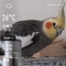 WeatherShot（2020-03-22）