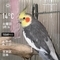 WeatherShot（2020-03-24）