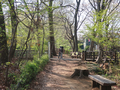 [東京][風景]玉川上水緑道と東鷹の橋と兎橋（2019-04-06）