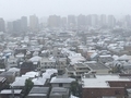 [東京][雪]（2020-03-29 10:12）