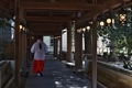 [神社]川越氷川神社（2020-03-19 12:21）