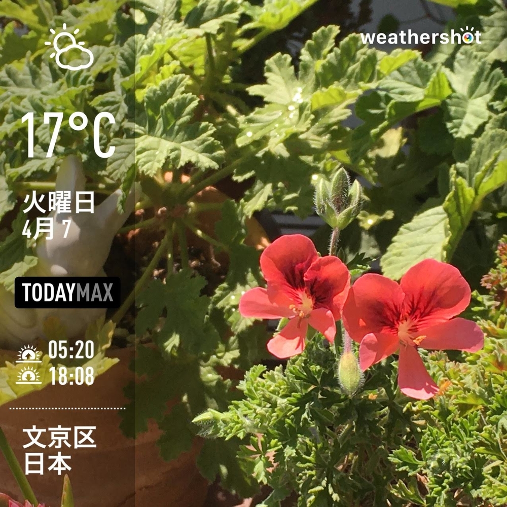 WeatherShot（2020-04-07）