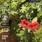 WeatherShot（2020-04-07）