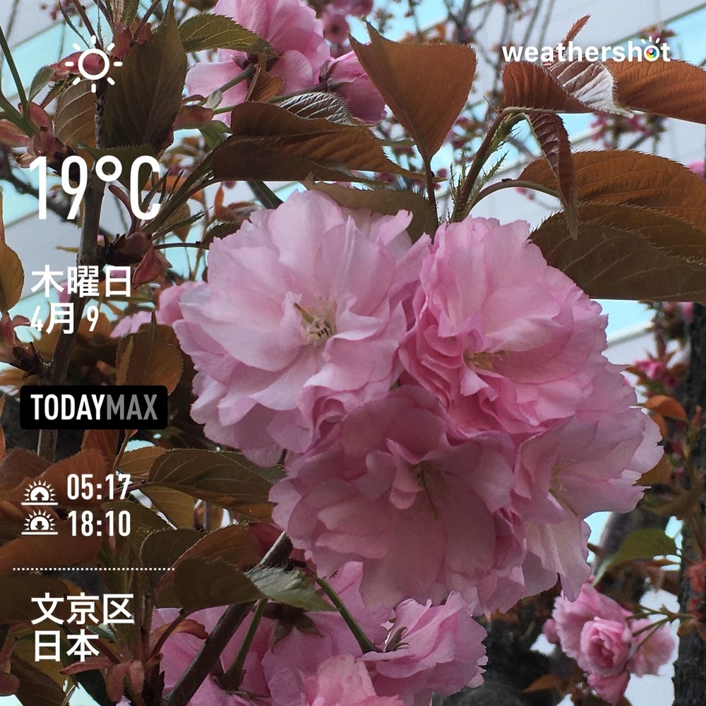 WeatherShot（2020-04-09）
