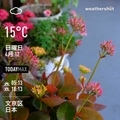 [Instaweather]WeatherShot（2020-04-12）