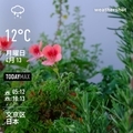 [Instaweather]WeatherShot（2020-04-13）