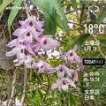 [Instaweather]WeatherShot（2020-04-18）