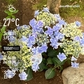 [Instaweather]WeatherShot（2020-05-12）