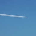 [空][雲][東京][飛行機]ブルーインパルス（2020-05-29 12:49）